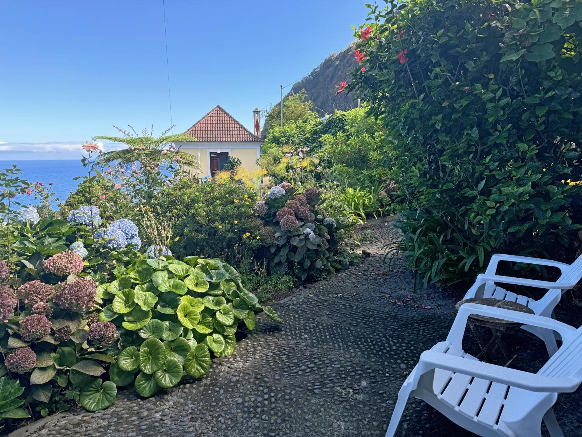 Quinta Das Hortensias Arco de São Jorge Zewnętrze zdjęcie