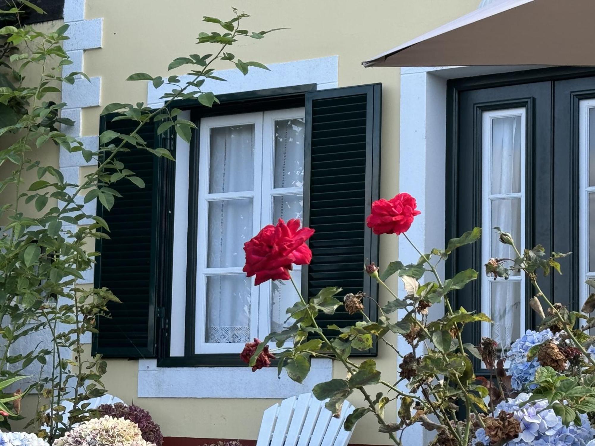 Quinta Das Hortensias Arco de São Jorge Zewnętrze zdjęcie