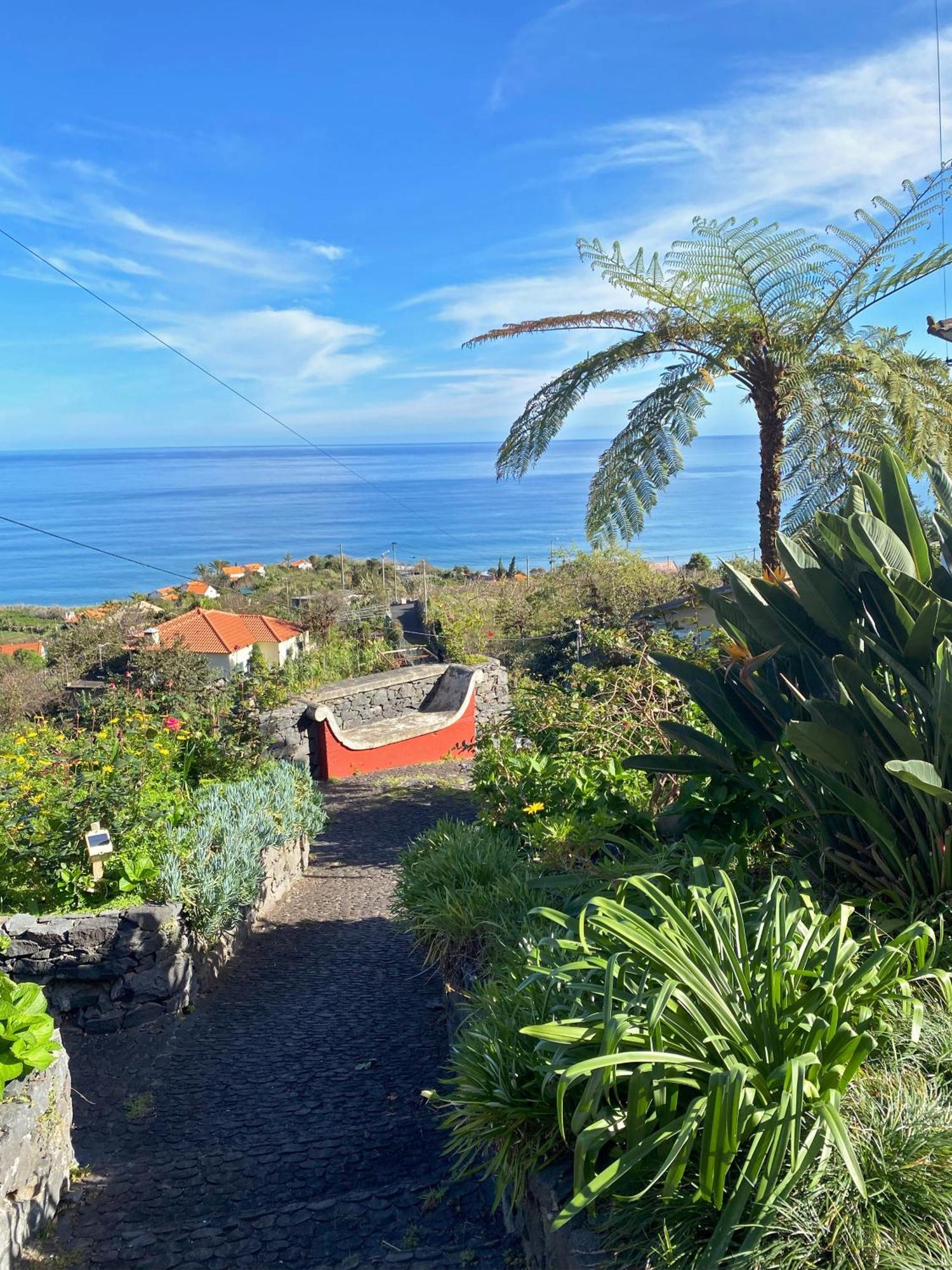 Quinta Das Hortensias Arco de São Jorge Zewnętrze zdjęcie